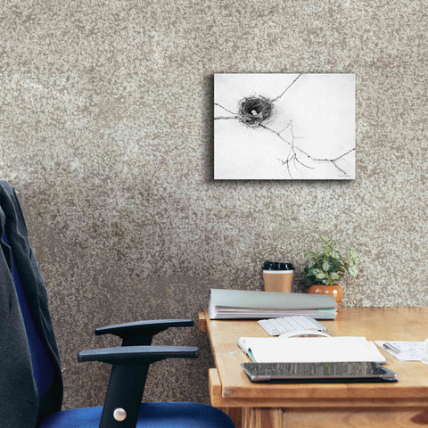 Image of 'Nest and Branch I' by Debra Van Swearingen, Canvas Wall Art,16 x 12