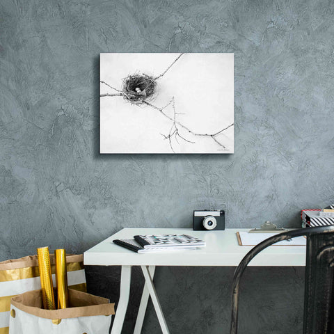 Image of 'Nest and Branch I' by Debra Van Swearingen, Canvas Wall Art,16 x 12