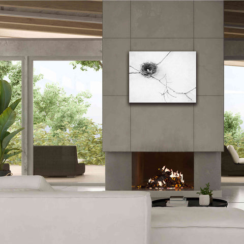 Image of 'Nest and Branch I' by Debra Van Swearingen, Canvas Wall Art,34 x 26