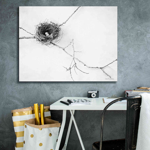 Image of 'Nest and Branch I' by Debra Van Swearingen, Canvas Wall Art,34 x 26