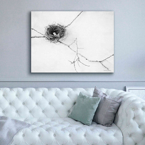 Image of 'Nest and Branch I' by Debra Van Swearingen, Canvas Wall Art,54 x 40
