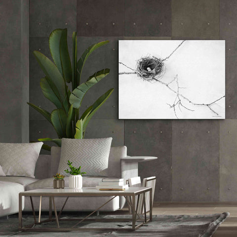 Image of 'Nest and Branch I' by Debra Van Swearingen, Canvas Wall Art,54 x 40