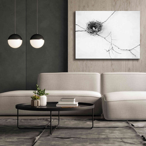 Image of 'Nest and Branch I' by Debra Van Swearingen, Canvas Wall Art,54 x 40