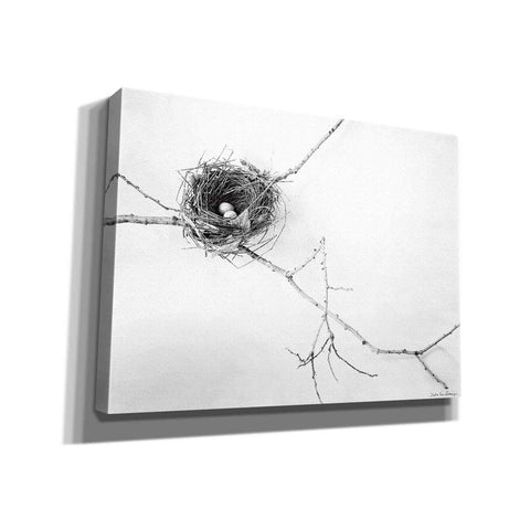 Image of 'Nest and Branch I' by Debra Van Swearingen, Canvas Wall Art,16x12x1.1x0,26x18x1.1x0,34x26x1.74x0,54x40x1.74x0