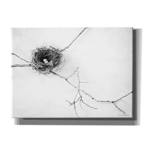 Image of 'Nest and Branch I' by Debra Van Swearingen, Canvas Wall Art,16x12x1.1x0,26x18x1.1x0,34x26x1.74x0,54x40x1.74x0