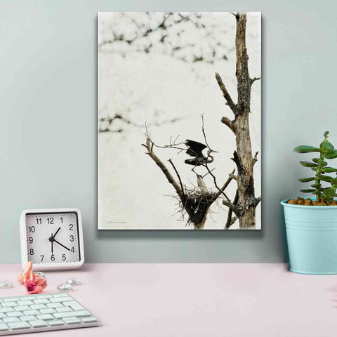 Image of 'Poised' by Debra Van Swearingen, Canvas Wall Art,12 x 16