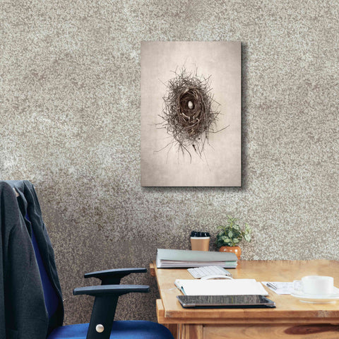 Image of 'Poised' by Debra Van Swearingen, Canvas Wall Art,18 x 26