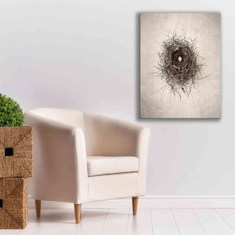 Image of 'Poised' by Debra Van Swearingen, Canvas Wall Art,26 x 34