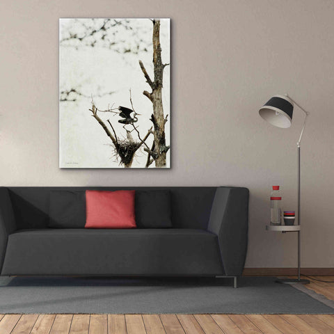 Image of 'Poised' by Debra Van Swearingen, Canvas Wall Art,40 x 54