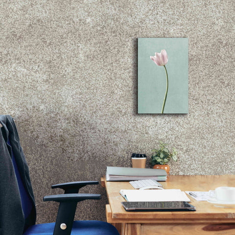 Image of 'Light Tulips I Harbor Gray' by Debra Van Swearingen, Canvas Wall Art,12 x 18