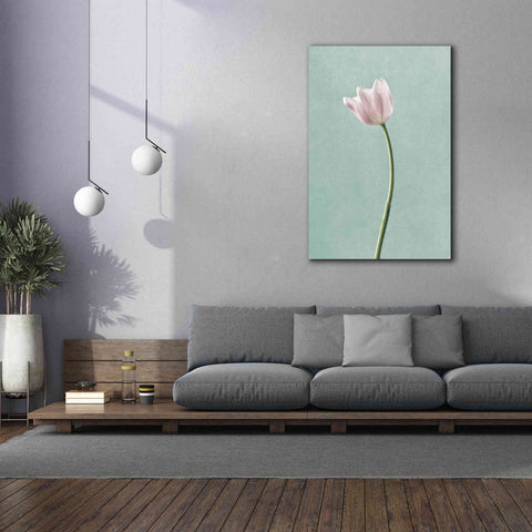 Image of 'Light Tulips I Harbor Gray' by Debra Van Swearingen, Canvas Wall Art,40 x 60
