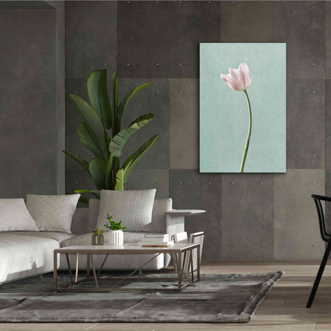 Image of 'Light Tulips I Harbor Gray' by Debra Van Swearingen, Canvas Wall Art,40 x 60
