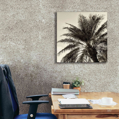Image of 'Palm Tree Sepia I' by Debra Van Swearingen, Canvas Wall Art,26 x 26