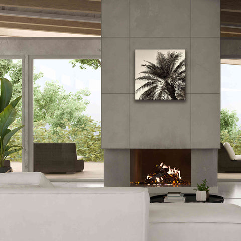 Image of 'Palm Tree Sepia I' by Debra Van Swearingen, Canvas Wall Art,26 x 26