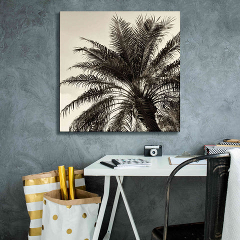 Image of 'Palm Tree Sepia I' by Debra Van Swearingen, Canvas Wall Art,26 x 26