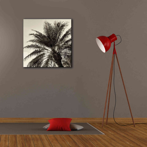 Image of 'Palm Tree Sepia I' by Debra Van Swearingen, Canvas Wall Art,26 x 26