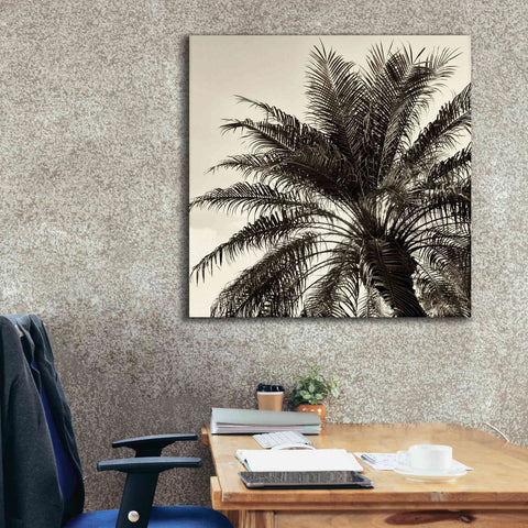 Image of 'Palm Tree Sepia I' by Debra Van Swearingen, Canvas Wall Art,37 x 37