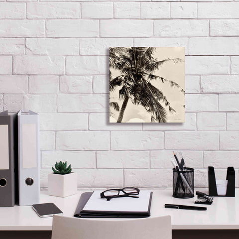 Image of 'Palm Tree Sepia II' by Debra Van Swearingen, Canvas Wall Art,12 x 12