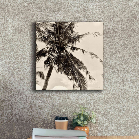 Image of 'Palm Tree Sepia II' by Debra Van Swearingen, Canvas Wall Art,18 x 18