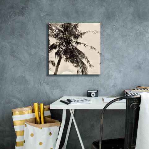 Image of 'Palm Tree Sepia II' by Debra Van Swearingen, Canvas Wall Art,18 x 18