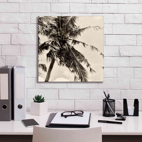Image of 'Palm Tree Sepia II' by Debra Van Swearingen, Canvas Wall Art,18 x 18