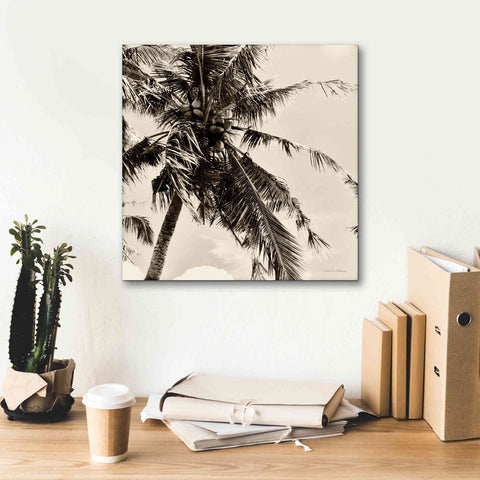 Image of 'Palm Tree Sepia II' by Debra Van Swearingen, Canvas Wall Art,18 x 18
