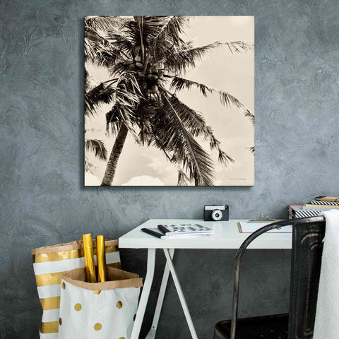 Image of 'Palm Tree Sepia II' by Debra Van Swearingen, Canvas Wall Art,26 x 26