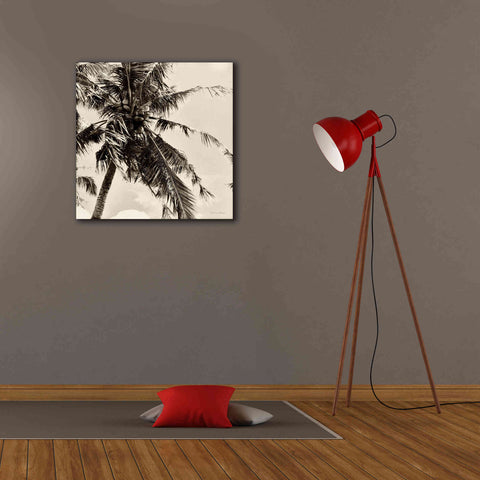Image of 'Palm Tree Sepia II' by Debra Van Swearingen, Canvas Wall Art,26 x 26