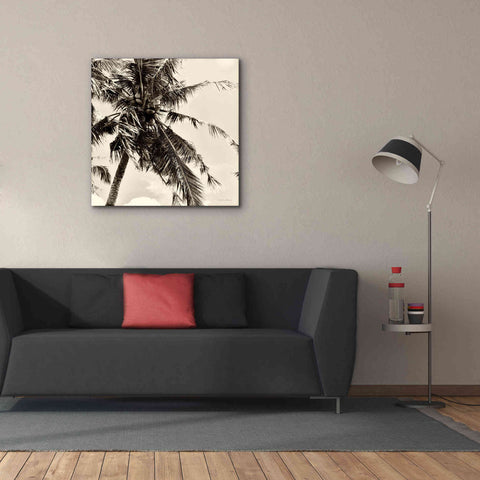 Image of 'Palm Tree Sepia II' by Debra Van Swearingen, Canvas Wall Art,37 x 37