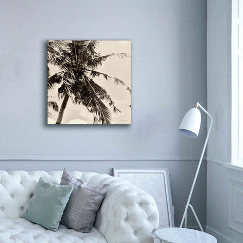 Image of 'Palm Tree Sepia II' by Debra Van Swearingen, Canvas Wall Art,37 x 37