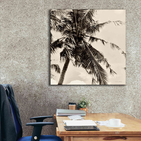 Image of 'Palm Tree Sepia II' by Debra Van Swearingen, Canvas Wall Art,37 x 37
