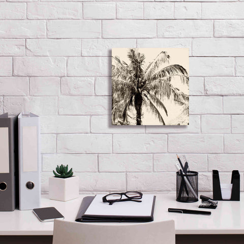 Image of 'Palm Tree Sepia III' by Debra Van Swearingen, Canvas Wall Art,12 x 12