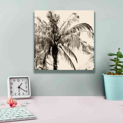 Image of 'Palm Tree Sepia III' by Debra Van Swearingen, Canvas Wall Art,12 x 12