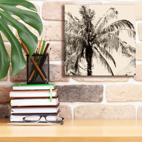 Image of 'Palm Tree Sepia III' by Debra Van Swearingen, Canvas Wall Art,12 x 12