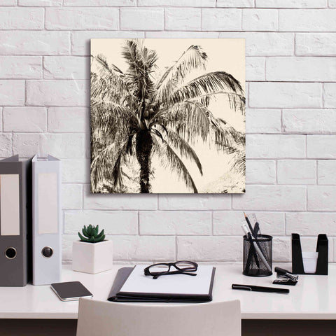 Image of 'Palm Tree Sepia III' by Debra Van Swearingen, Canvas Wall Art,18 x 18