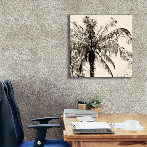 Image of 'Palm Tree Sepia III' by Debra Van Swearingen, Canvas Wall Art,26 x 26