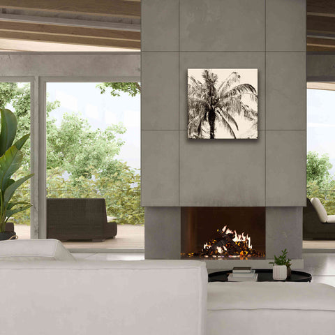 Image of 'Palm Tree Sepia III' by Debra Van Swearingen, Canvas Wall Art,26 x 26