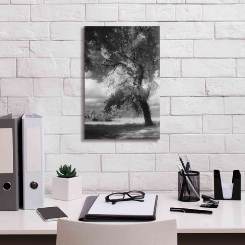 Image of 'Dreamscape' by Debra Van Swearingen, Canvas Wall Art,12 x 18