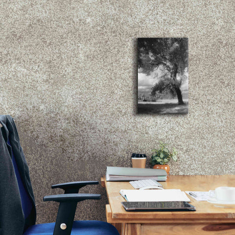 Image of 'Dreamscape' by Debra Van Swearingen, Canvas Wall Art,12 x 18