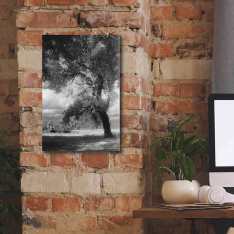 Image of 'Dreamscape' by Debra Van Swearingen, Canvas Wall Art,12 x 18