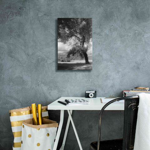 Image of 'Dreamscape' by Debra Van Swearingen, Canvas Wall Art,12 x 18