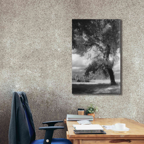 Image of 'Dreamscape' by Debra Van Swearingen, Canvas Wall Art,26 x 40