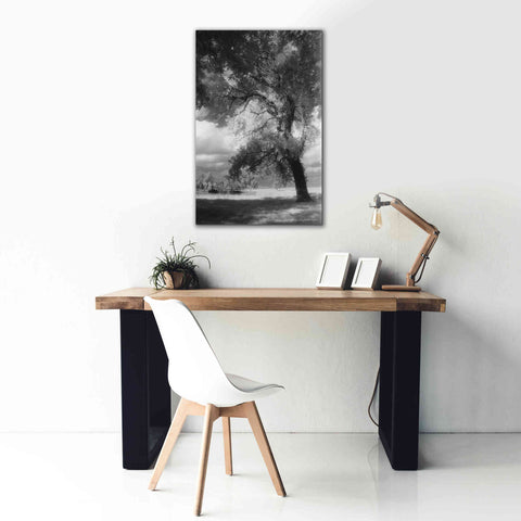 Image of 'Dreamscape' by Debra Van Swearingen, Canvas Wall Art,26 x 40