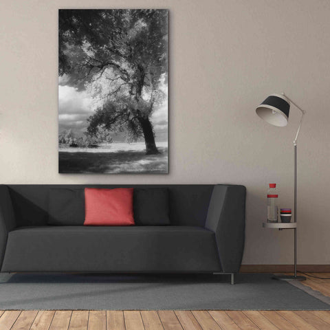 Image of 'Dreamscape' by Debra Van Swearingen, Canvas Wall Art,40 x 60