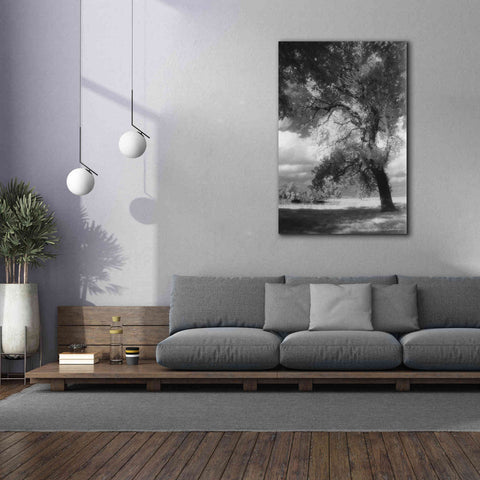 Image of 'Dreamscape' by Debra Van Swearingen, Canvas Wall Art,40 x 60