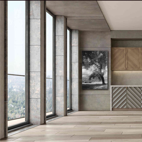 Image of 'Dreamscape' by Debra Van Swearingen, Canvas Wall Art,40 x 60