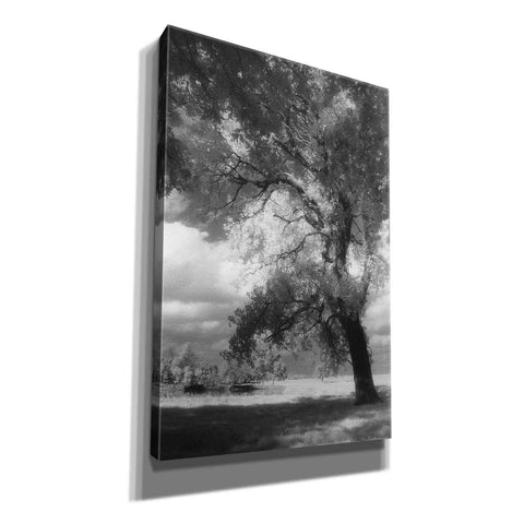 Image of 'Dreamscape' by Debra Van Swearingen, Canvas Wall Art,12x18x1.1x0,18x26x1.1x0,26x40x1.74x0,40x60x1.74x0