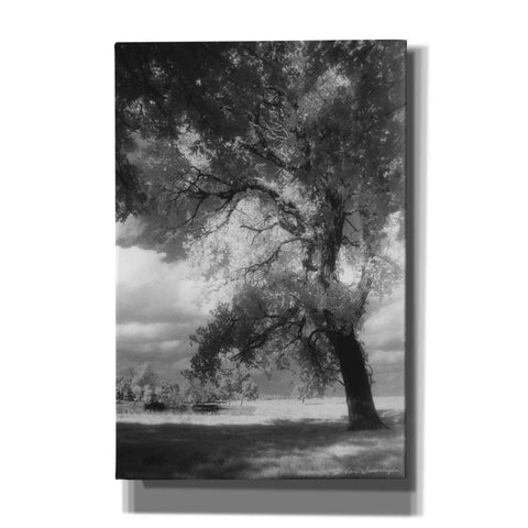 Image of 'Dreamscape' by Debra Van Swearingen, Canvas Wall Art,12x18x1.1x0,18x26x1.1x0,26x40x1.74x0,40x60x1.74x0