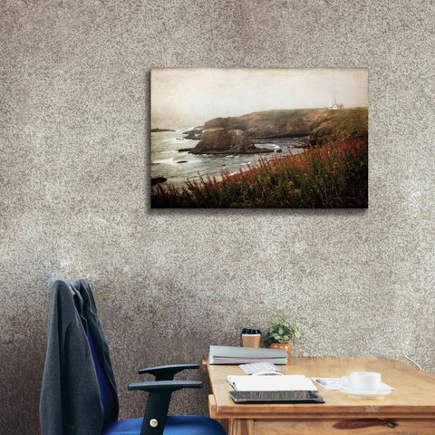 Image of 'Coastal Mist' by Debra Van Swearingen, Canvas Wall Art,40 x 26
