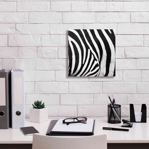 Image of 'Zebra IV' by Debra Van Swearingen, Canvas Wall Art,12 x 12